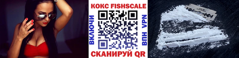 КОКАИН Fish Scale  Купить  Бабушкин 