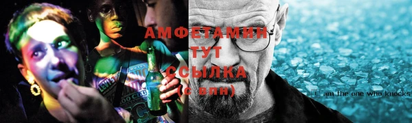 ГАЛЛЮЦИНОГЕННЫЕ ГРИБЫ Инта
