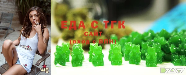 МДПВ Инсар