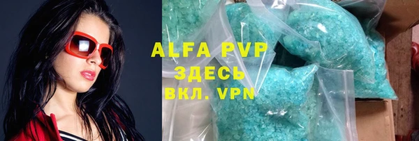 ГАЛЛЮЦИНОГЕННЫЕ ГРИБЫ Инта