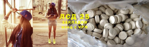 ГАЛЛЮЦИНОГЕННЫЕ ГРИБЫ Инта
