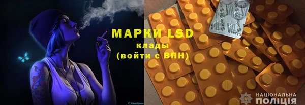 ГАЛЛЮЦИНОГЕННЫЕ ГРИБЫ Инта