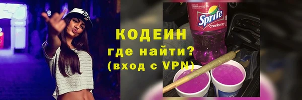МДПВ Инсар