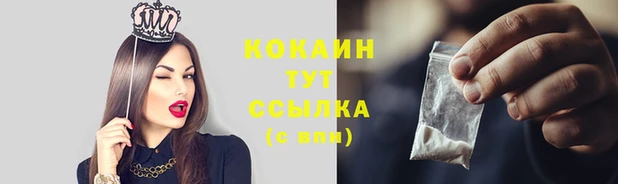 МДПВ Инсар