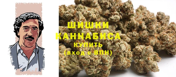 ГАЛЛЮЦИНОГЕННЫЕ ГРИБЫ Инта