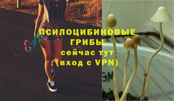 МДПВ Инсар