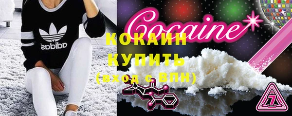 ГАЛЛЮЦИНОГЕННЫЕ ГРИБЫ Инта