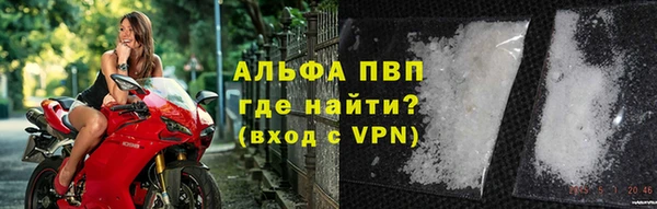 ГАЛЛЮЦИНОГЕННЫЕ ГРИБЫ Инта