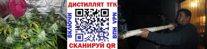 Купить где  Бабушкин  ТГК концентрат 