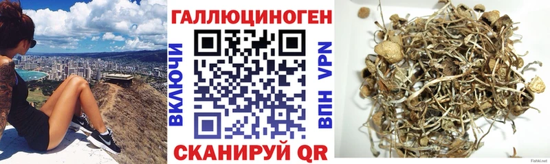 Галлюциногенные грибы Psilocybe  Купить  Бабушкин 
